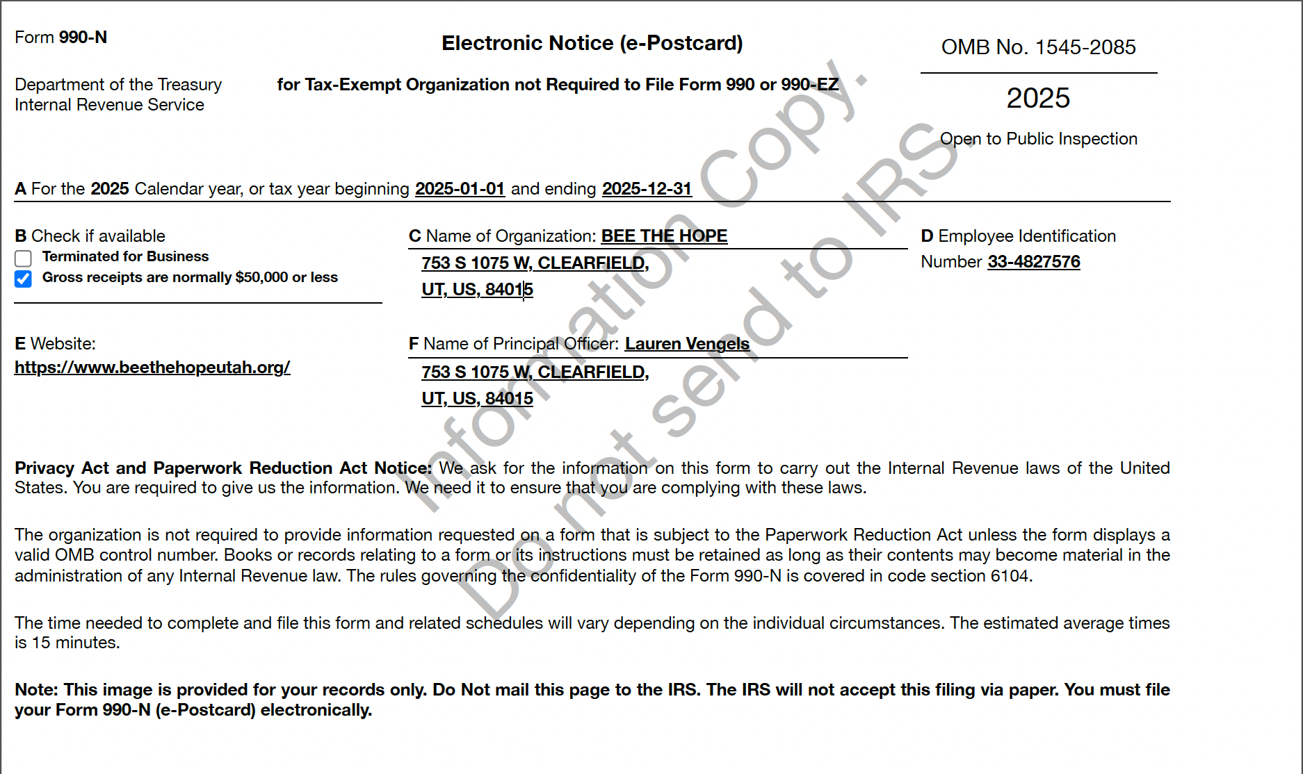 Bee the Hope 2025 calendar year Form 990-N postcard showing less than $50K in revenue